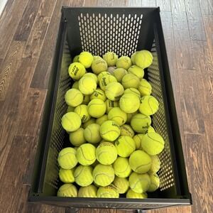 8  Used Tennis Balls for Dogs